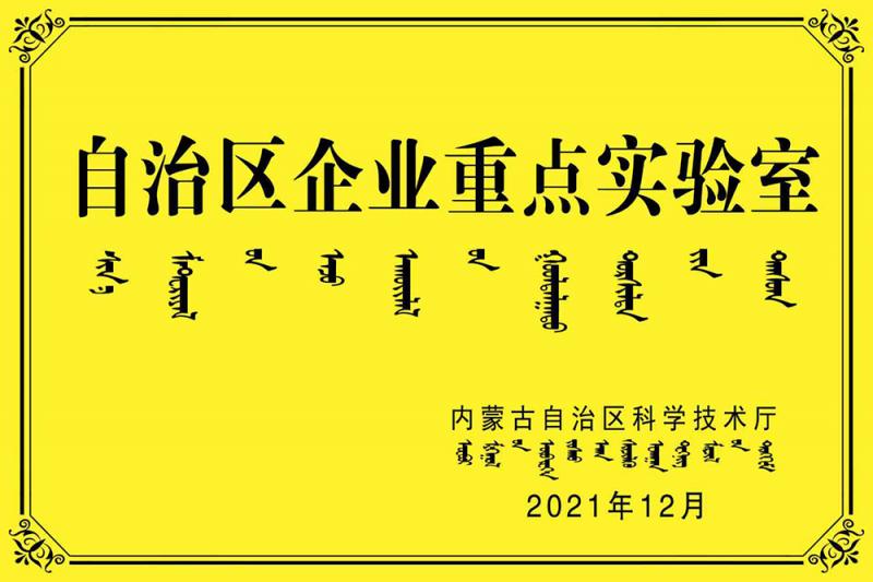 自治區企業(yè)重點(diǎn)實(shí)驗室